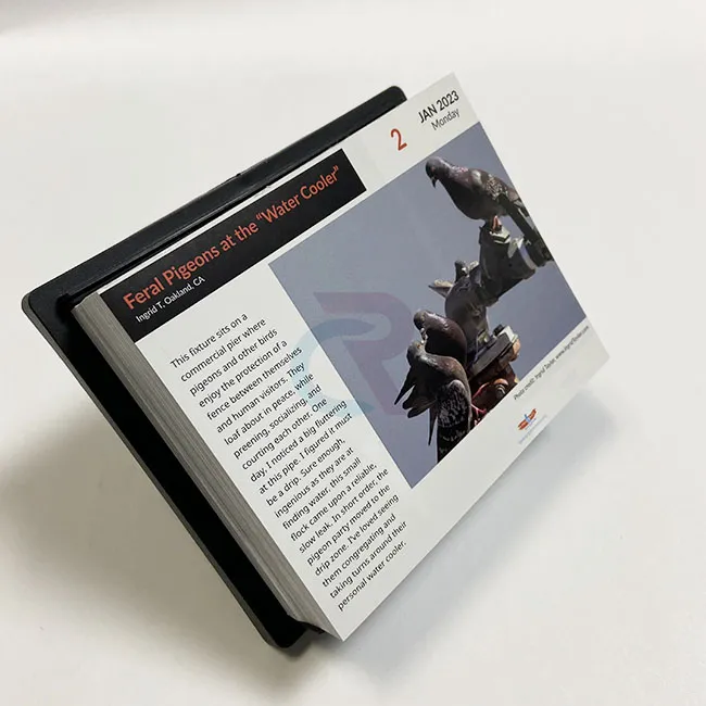 Как можно включить индивидуальный дизайн в отрывные календари «Постранично в день»?